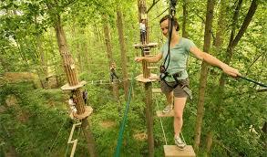 Go Ape Leeds Castle